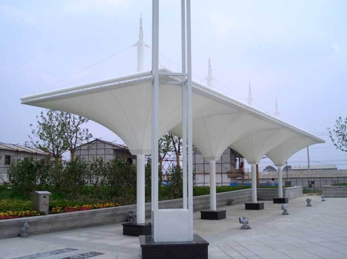 ��������Ĥ