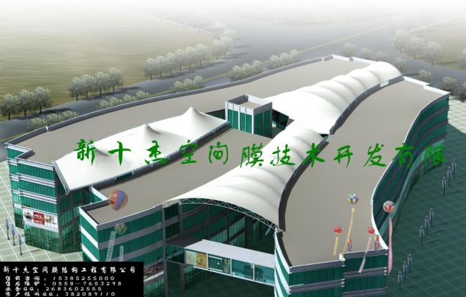 ��������Ĥ